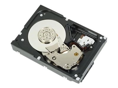 0246f082-5cc8-434b-a03b-04408b563959 Dell - trdi disk - 4 TB - SATA - slika 1