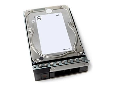 066c88df-ad74-4242-8358-fd1cf384a73e Dell - Komplet za stranke - trdi disk - 4 TB - 512n, ISE - SAS 12Gb/s - slika 1