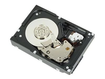 45a2ccc0-847b-475e-8189-f198c072187f Dell - Komplet za stranke - trdi disk - 12 TB - 512e, ISE - SAS 12Gb/s - slika 1