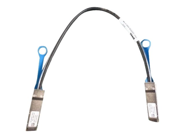 224de5f4-09fd-4f09-9764-be8ed35b727b Dell Networking 100GB Kabel za neposredno priklopitev - 50 cm - slika 1