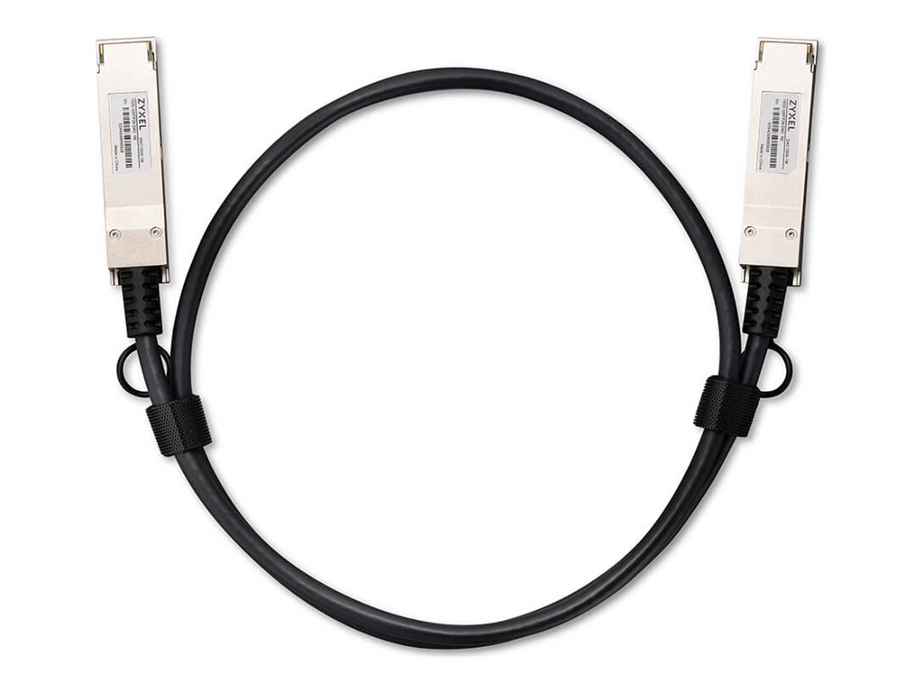 adac2502-9133-45b5-b153-1cbdceb0942a Zyxel 100GBase kabel za neposredno pritrditev - 1 m - slika 1